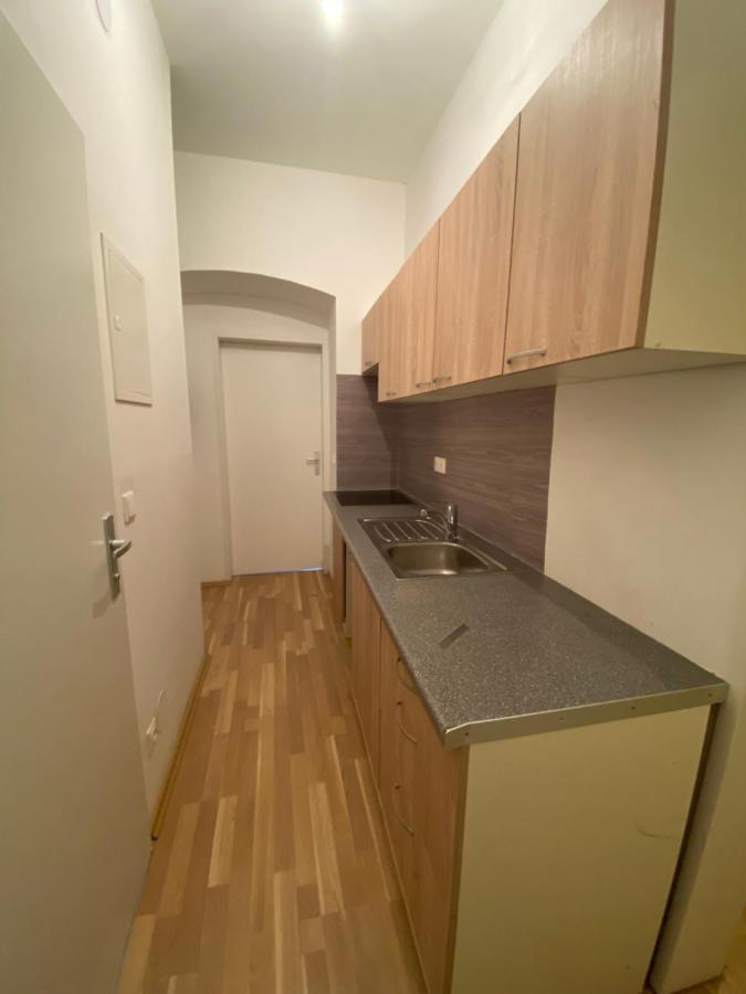 Niceapartmenthollergasse 8 Viena Exterior foto